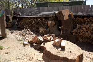 firewood pile